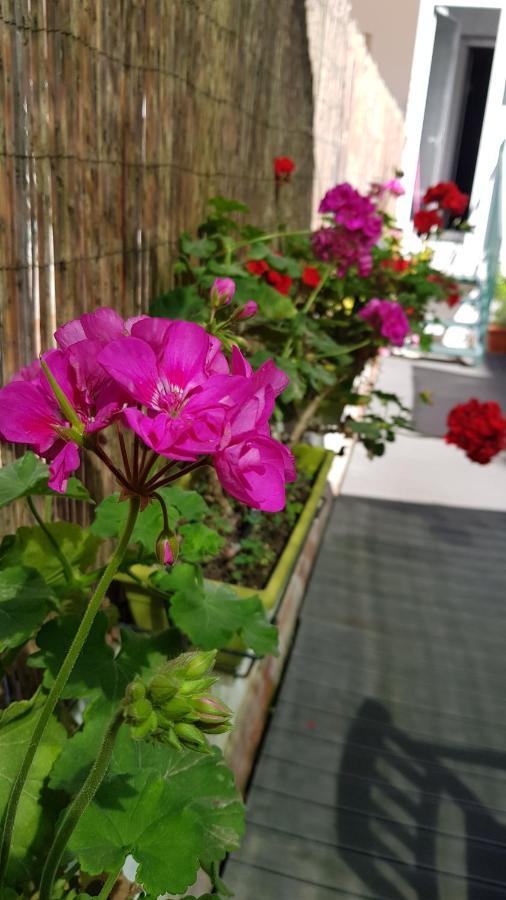 Estudio Maignon บาร์เซโลนา ภายนอก รูปภาพ